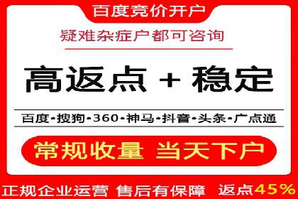行业领先企业的SEM运营策略案例解析
